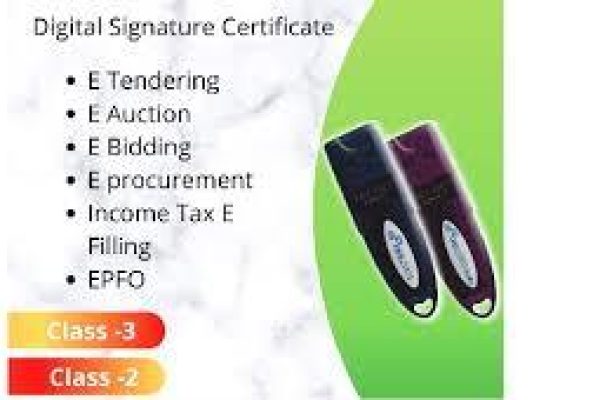 Digital Signature (DSC)